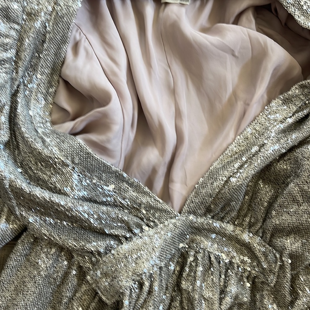 Saltwater LUXE Sequin Dress - Picture 6 of 7